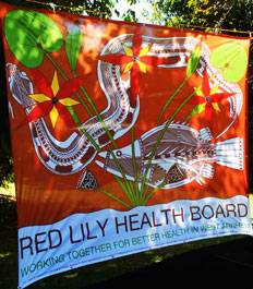 Red Lily Health Board Banner