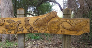 Sea tucker carving—one of eight carvings along the bush tucker trail. Guriwal Aboriginal Corporation contracted Christopher Lyons, a local Aboriginal artist, to teach students from Matraville Sports High School the techniques of wood carving and burning. Their combined work resulted in this carving depicting local food from the sea. 