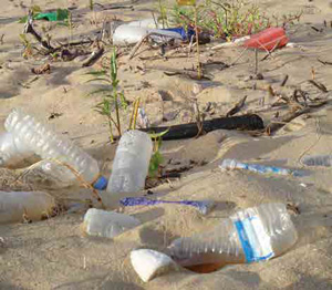 empty water bottles scattered through the sand as waste
