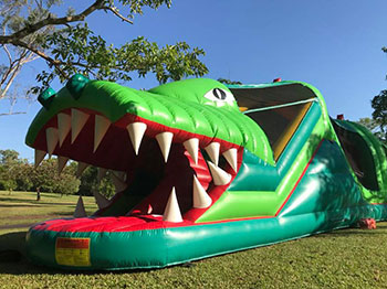 Bouncy crocodile