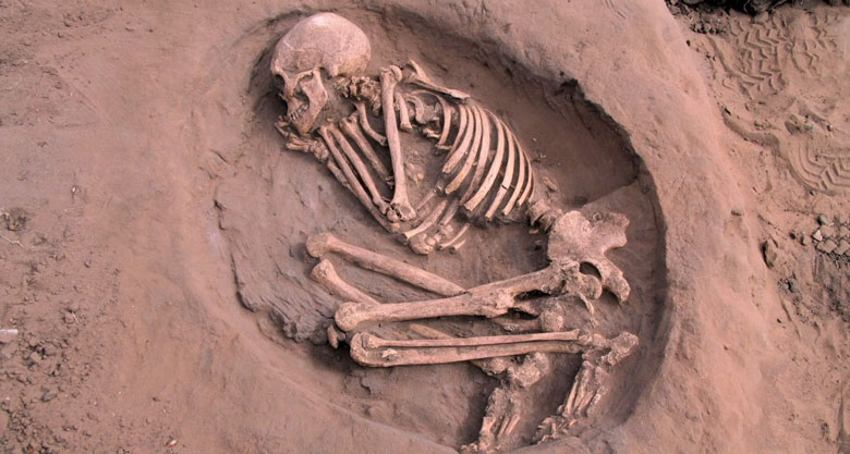 Human skeleton lying curled up on its side in a hollowed-out oval