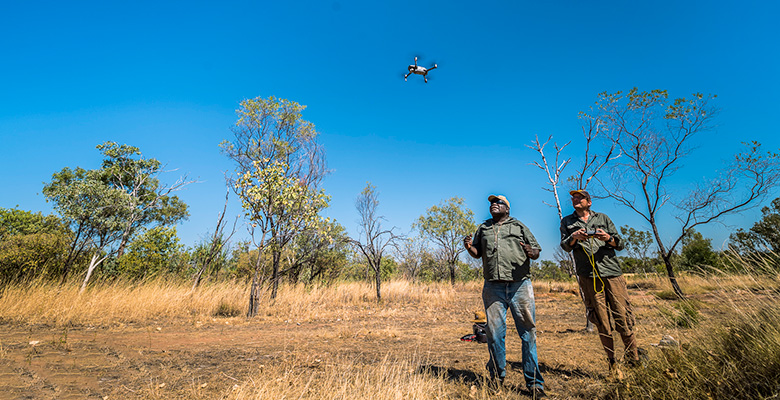 Two men standing under a bright blue sky in a north Kimberley savanna landscape, looking up at a drone