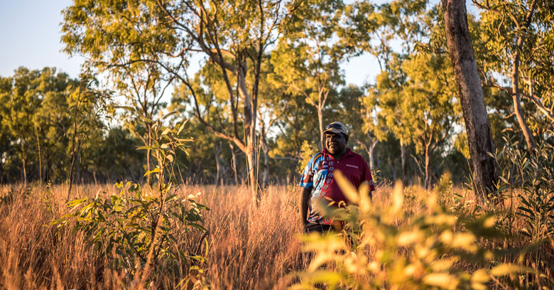 Aboriginal man standing, serene, in a savanna landscape