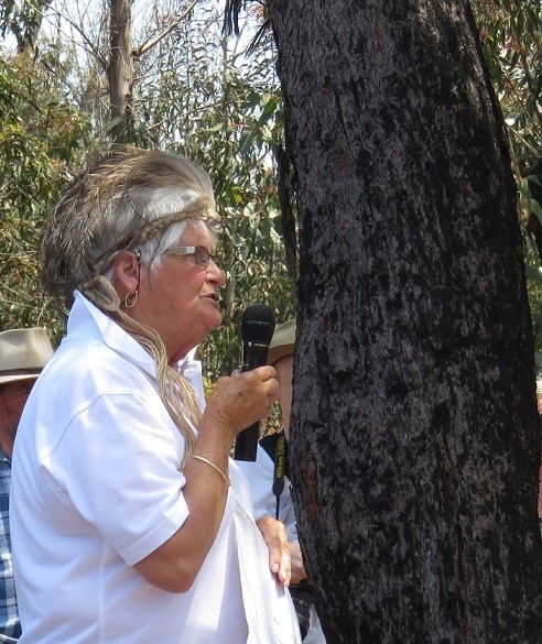 Aunty Helen Riley speaks about the bushfire recovery project. Photo: Mingaan Wiradjuri Aboriginal Corporation.