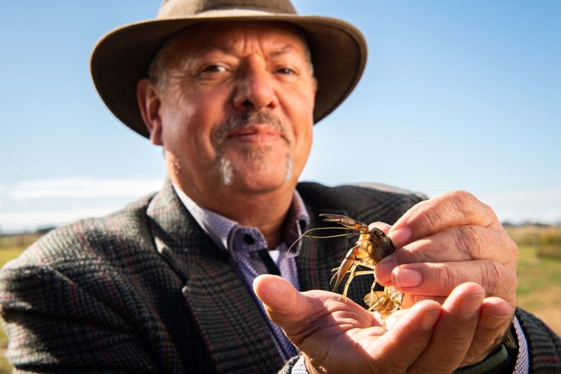 A man holds a yabby towards the camera